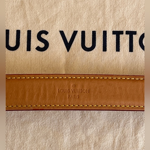 Louis Vuitton Side Truck MM - Picture 11 of 14